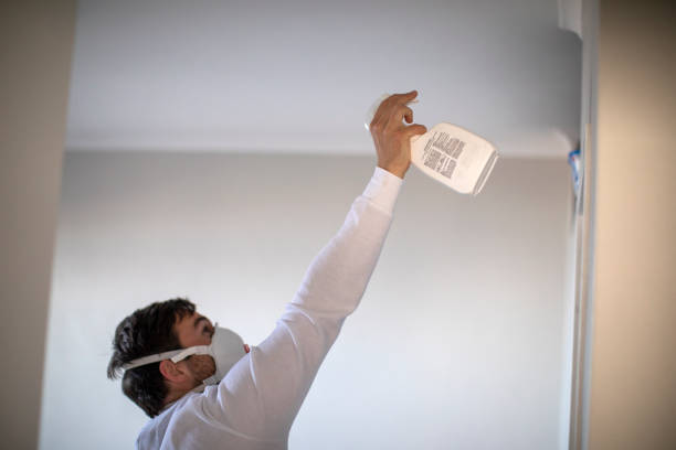 Best Basement Mold Remediation in Coal Valley, IL