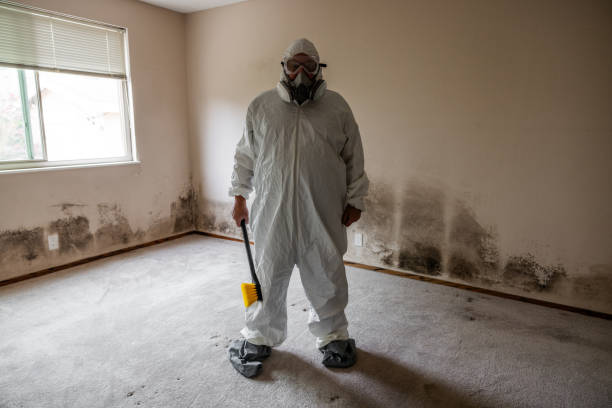 Best Industrial Mold Remediation in Coal Valley, IL